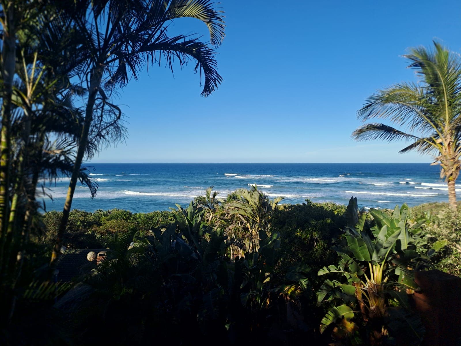 Panoramic view of the Indian Ocean framed by palm trees